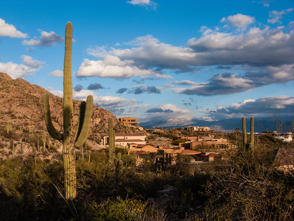 catalina foothills